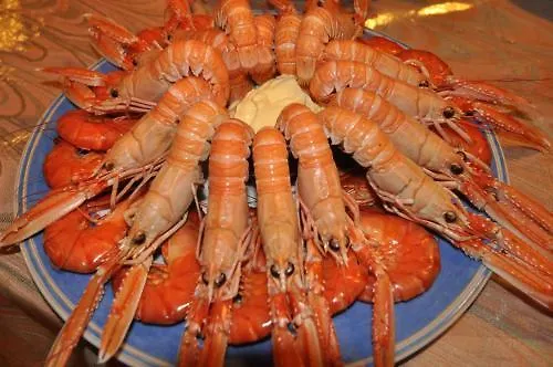 Complejos J-enrimary